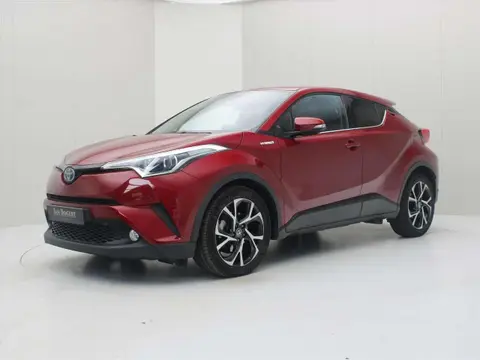 Used TOYOTA C-HR Hybrid 2019 Ad 