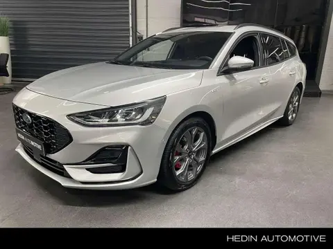 Annonce FORD FOCUS Hybride 2023 d'occasion 