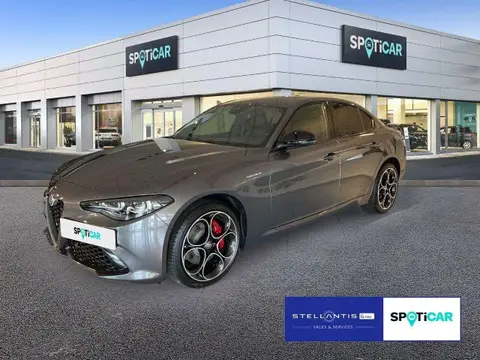 Used ALFA ROMEO GIULIA Petrol 2024 Ad 