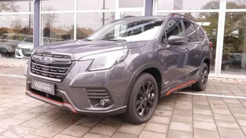 Used SUBARU FORESTER Hybrid 2024 Ad 