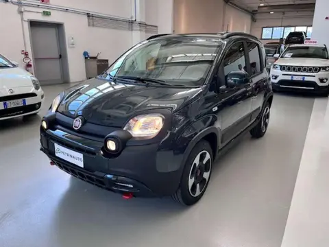 Annonce FIAT PANDA Hybride 2024 d'occasion 