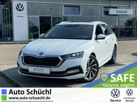 Used SKODA OCTAVIA Diesel 2020 Ad 