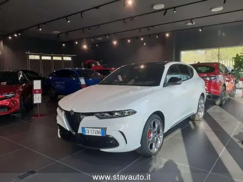 Annonce ALFA ROMEO TONALE Hybride 2024 d'occasion 