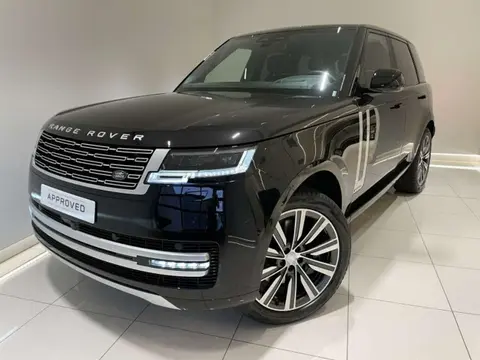 Used LAND ROVER RANGE ROVER  2024 Ad 