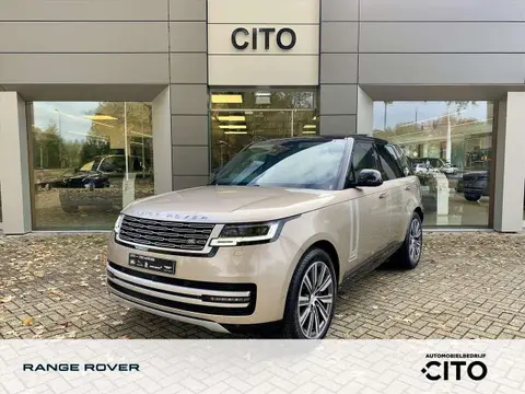 Used LAND ROVER RANGE ROVER Hybrid 2024 Ad 