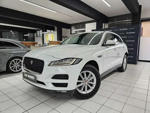 Used JAGUAR F-PACE Diesel 2020 Ad 