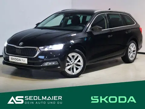 Used SKODA OCTAVIA Petrol 2024 Ad 