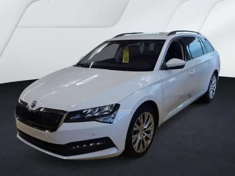 Annonce SKODA SUPERB Diesel 2024 d'occasion 