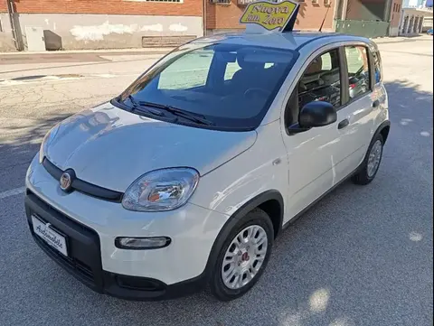 Annonce FIAT PANDA Hybride 2024 d'occasion 