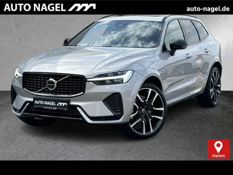 Used VOLVO XC60 Hybrid 2024 Ad 