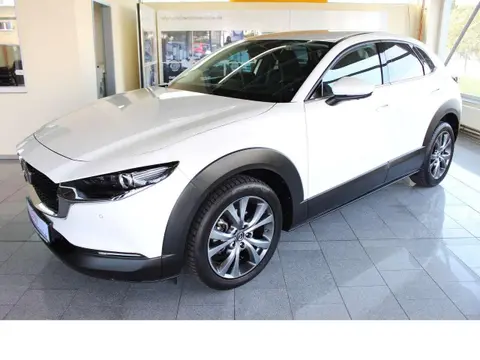 Annonce MAZDA CX-30 Essence 2019 d'occasion 