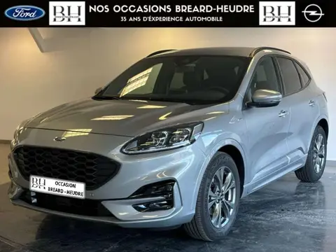 Used FORD KUGA  2022 Ad 