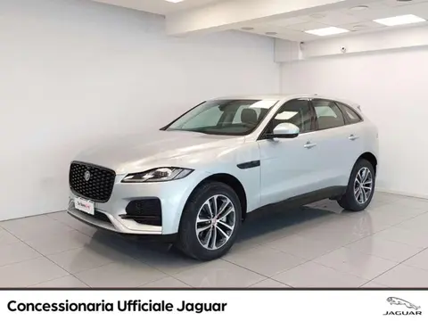 Used JAGUAR F-PACE Hybrid 2021 Ad 