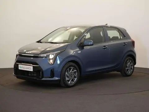 Used KIA PICANTO Petrol 2024 Ad 