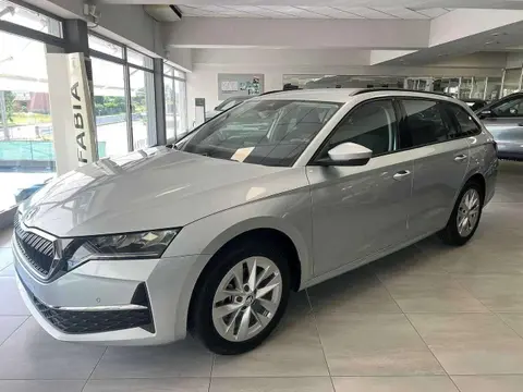 Annonce SKODA OCTAVIA Diesel 2024 d'occasion 