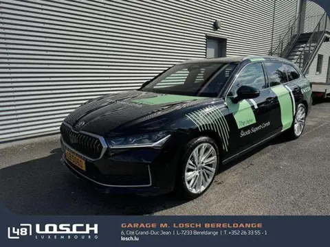 Annonce SKODA SUPERB Diesel 2024 d'occasion 