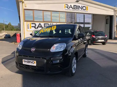 Annonce FIAT PANDA Hybride 2024 d'occasion 