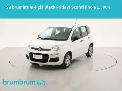 Annonce FIAT PANDA Essence 2020 d'occasion 