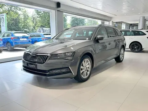 Annonce SKODA SUPERB Hybride 2024 d'occasion 