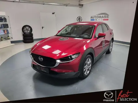 Annonce MAZDA CX-30 Hybride 2021 d'occasion 