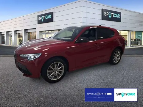 Used ALFA ROMEO STELVIO Diesel 2020 Ad 