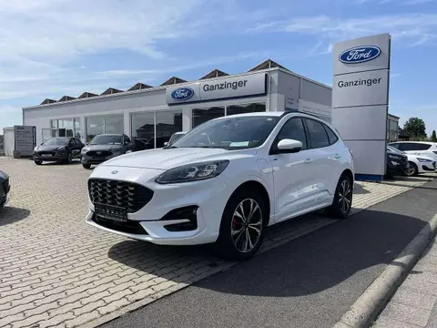 Used FORD KUGA Hybrid 2022 Ad 