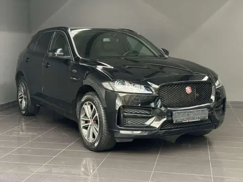 Used JAGUAR F-PACE Diesel 2017 Ad 