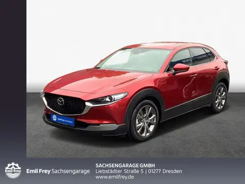 Used MAZDA CX-30 Petrol 2021 Ad 