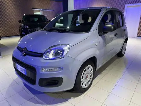 Used FIAT PANDA Hybrid 2022 Ad 