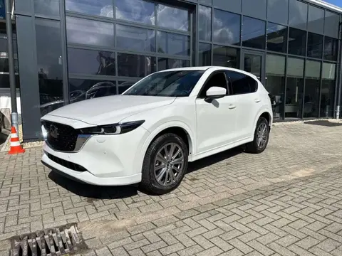 Used MAZDA CX-5 Hybrid 2024 Ad 