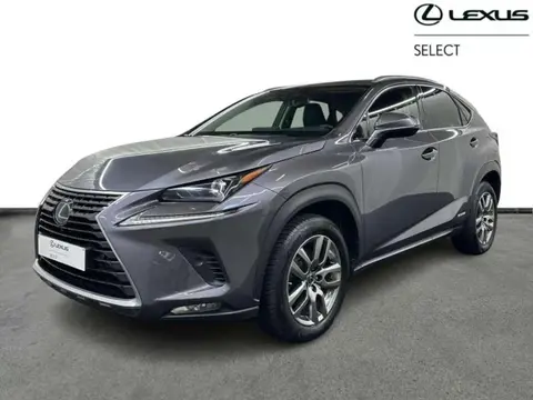 Annonce LEXUS NX Hybride 2022 d'occasion 