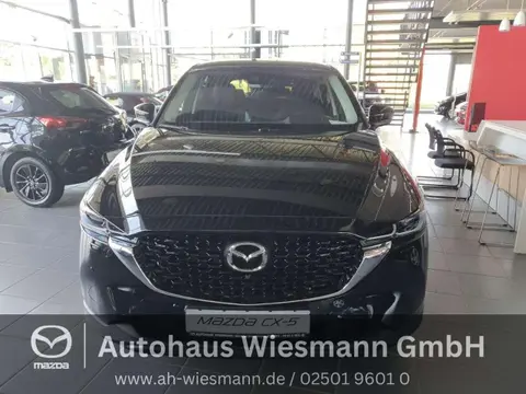 Used MAZDA CX-5 Petrol 2023 Ad 