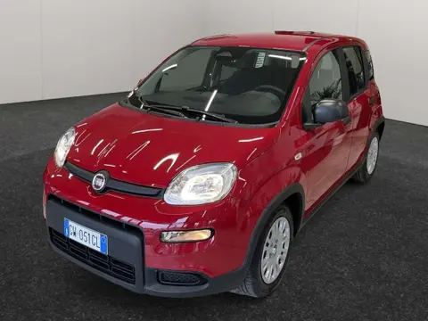 Used FIAT PANDA Hybrid 2024 Ad 