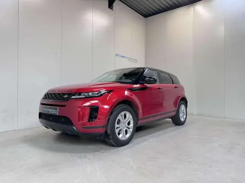 Annonce LAND ROVER RANGE ROVER EVOQUE Essence 2019 d'occasion 