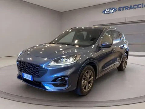 Annonce FORD KUGA Hybride 2021 d'occasion 