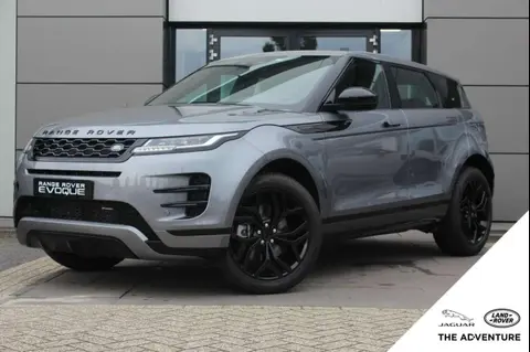 Used LAND ROVER RANGE ROVER EVOQUE Hybrid 2024 Ad 