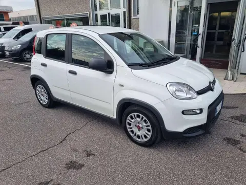 Annonce FIAT PANDA Hybride 2023 d'occasion 