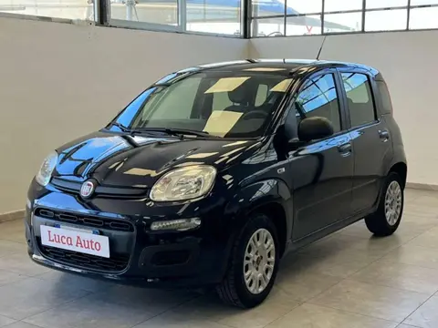 Annonce FIAT PANDA Essence 2019 d'occasion 