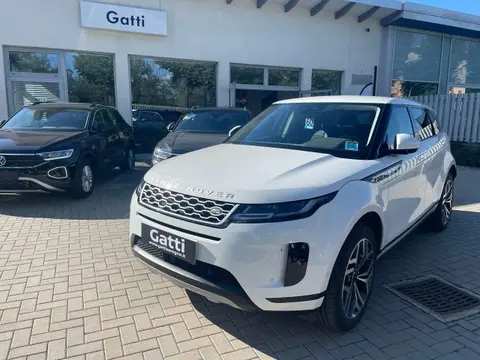 Used LAND ROVER RANGE ROVER EVOQUE Hybrid 2020 Ad 