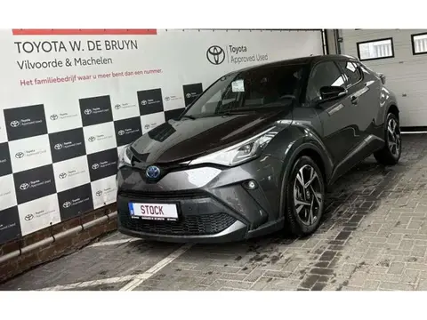 Used TOYOTA C-HR Hybrid 2024 Ad Belgium