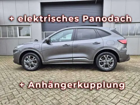 Annonce FORD KUGA Hybride 2024 d'occasion 