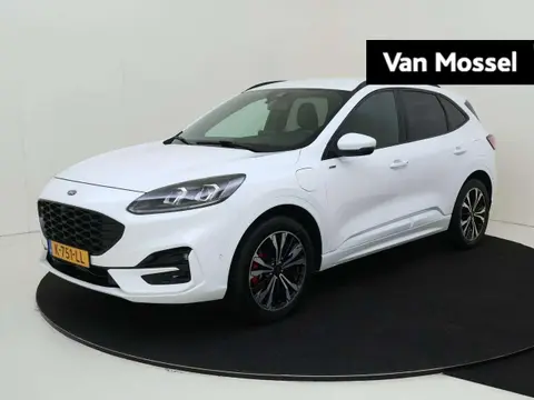 Annonce FORD KUGA Hybride 2021 d'occasion 