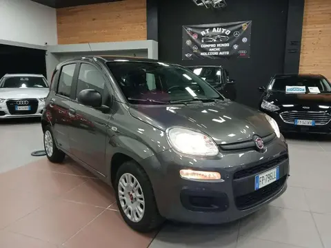 Used FIAT PANDA Petrol 2018 Ad 