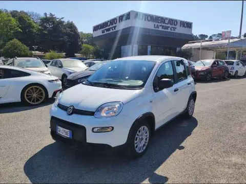 Annonce FIAT PANDA Hybride 2024 d'occasion 