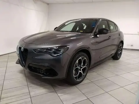 Annonce ALFA ROMEO STELVIO Diesel 2024 d'occasion 