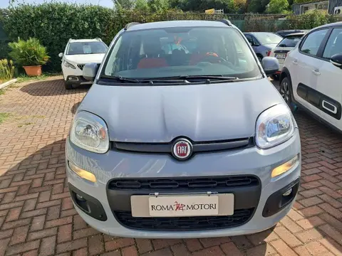 Used FIAT PANDA Petrol 2019 Ad 