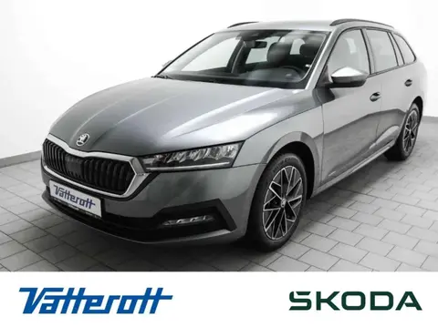 Used SKODA OCTAVIA Petrol 2024 Ad 