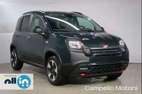 Annonce FIAT PANDA Hybride 2024 d'occasion 