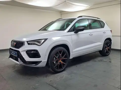 Used CUPRA ATECA Petrol 2024 Ad 