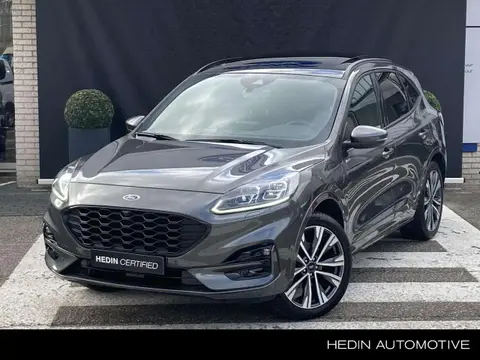 Annonce FORD KUGA Hybride 2023 d'occasion 